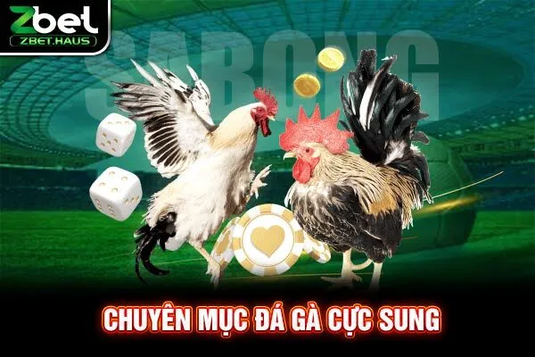 Chuyên mục đá gà cực sung